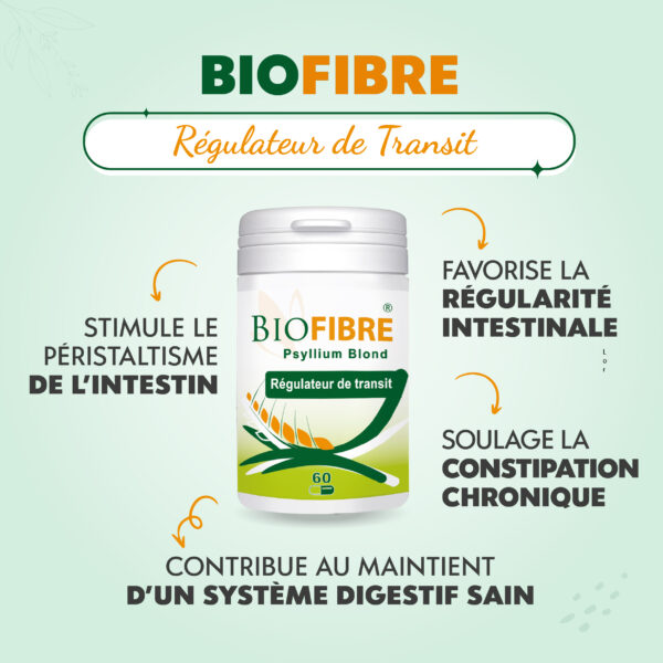 BIOFIBRE – Image 2