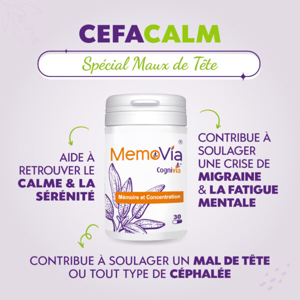 CÉFA-CALM – Image 2