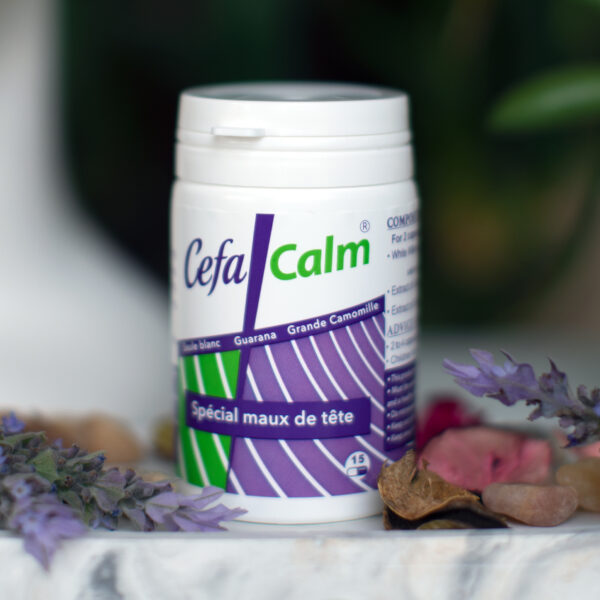 CÉFA-CALM – Image 4