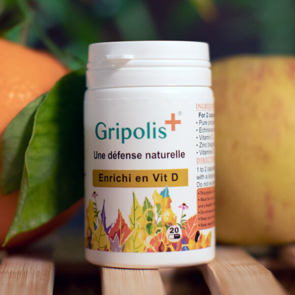 GRIPOLIS+ – Image 4