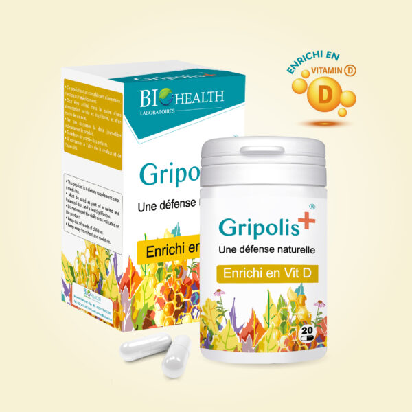 GRIPOLIS+ – Image 3