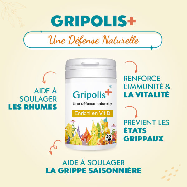 GRIPOLIS+ – Image 2