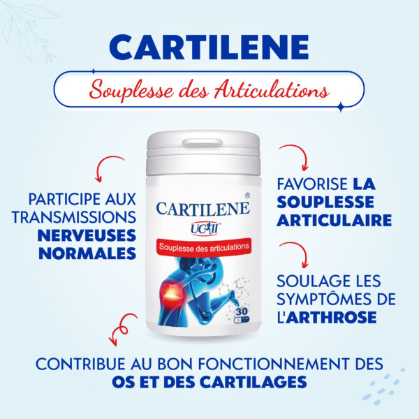 CARTILÈNE – Image 2