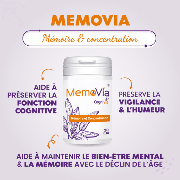 MEMOVIA – Image 2