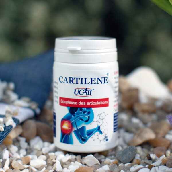 CARTILÈNE – Image 4