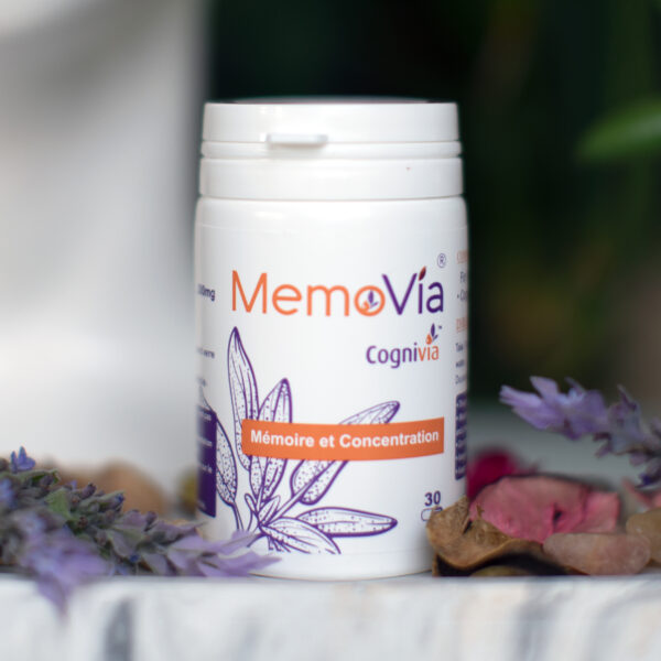 MEMOVIA – Image 4