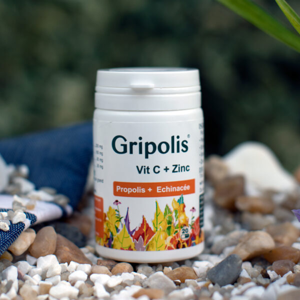 GRIPOLIS – Image 2